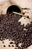 Sandalwood & Black Pepper Parfümöl
