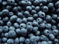 Blueberry Parfümöl