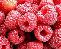 Raspberry Parfümöl
