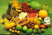 Tropicana Parfümöl
