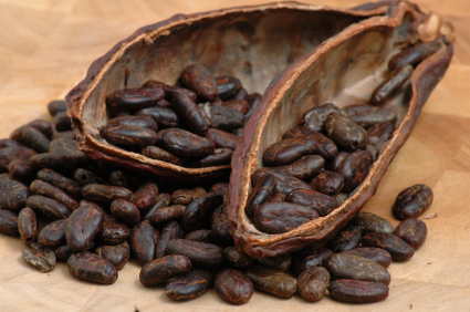 Cocoa Butter Parfümöl