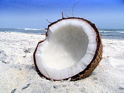 Coconut Parfümöl