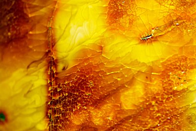 Amber Glow Parfümöl