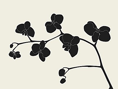 Black Orchid Parfümöl