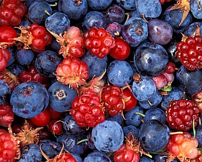 Berry Bewitching Brew Parfümöl