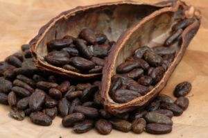 Cocoa Butter Parfümöl - Für weitere Informationen anklicken