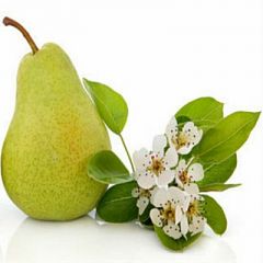 Freesia & Pear Parfümöl - Für weitere Informationen anklicken