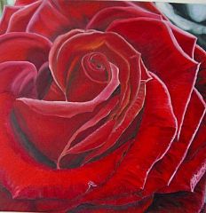 Moroccan Rose Parfümöl - Für weitere Informationen anklicken