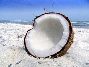 Coconut Parfümöl - Für weitere Informationen anklicken