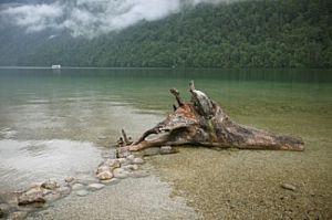 Aqua Minerals & Sea Kelp Parfümöl - Für weitere Informationen anklicken