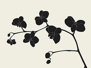 Black Orchid Parfümöl - Für weitere Informationen anklicken