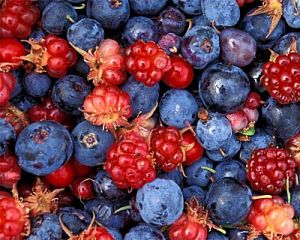 Berry Bewitching Brew Parfümöl - Für weitere Informationen anklicken