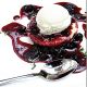 Black Raspberry & Vanilla Parfümöl