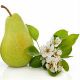 Freesia & Pear Parfümöl