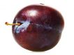 Japanese Plum Parfümöl -- Traumhaftes Duftvergnügen   -- Für weitere Informationen anklicken